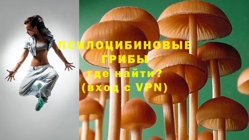 Галлюциногенные грибы Magic Shrooms  сколько стоит  Горячий Ключ 